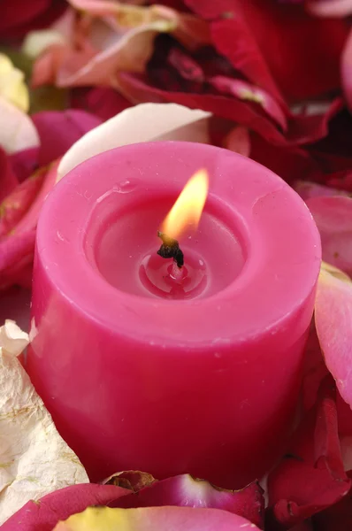 Kaarsen met rode roos — Stockfoto