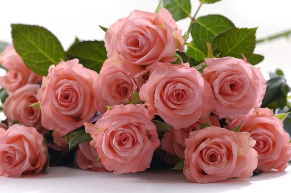 Kytice z růži — Stock fotografie