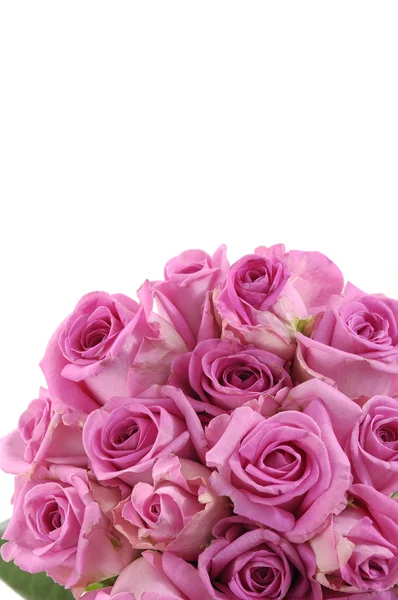 Bouquet of rose — Stock Photo, Image