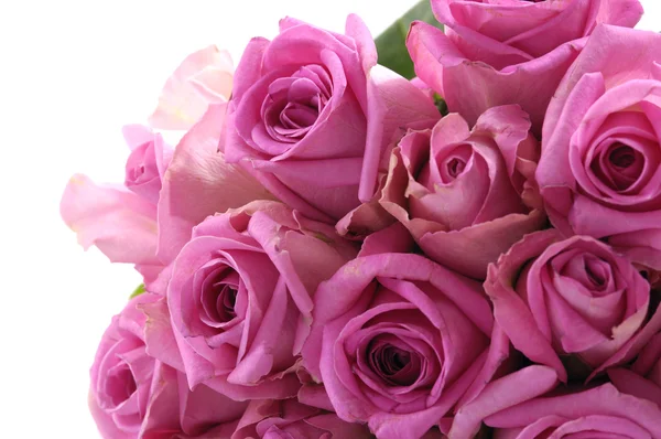 Bouquet of rose — Stock Photo, Image