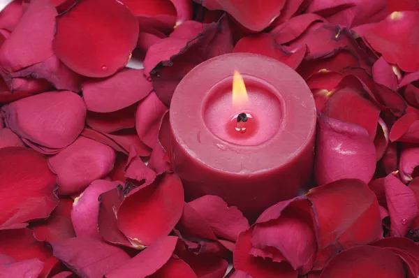 Candles with red rose petals Stock Image