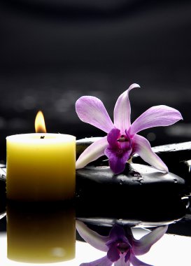 spa konsept