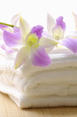 Aromaterapi ve spa