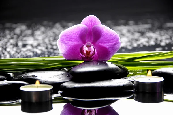 Sakin spa sahne
