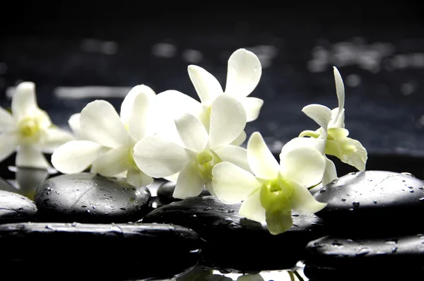 Spa still life — Stock Photo, Image