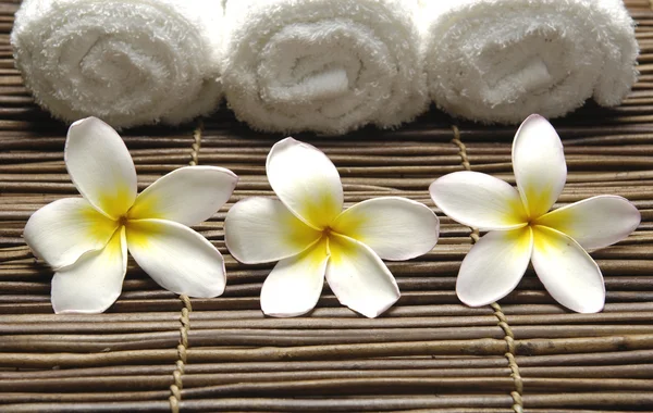 Spa sitting on mat — Stock Photo, Image