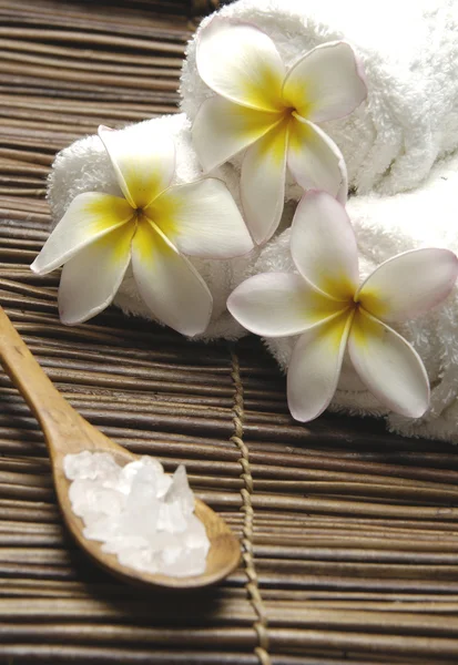 Spa sitting on mat — Stock Photo, Image