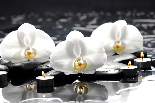 Zen veya spa hala