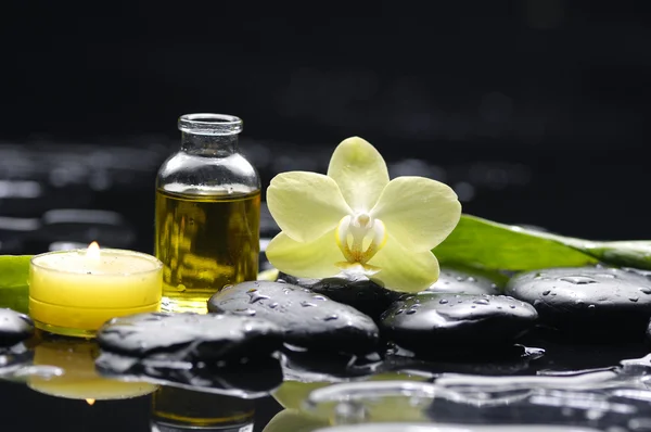 Spa todavía con flor de orquídea — Foto de Stock