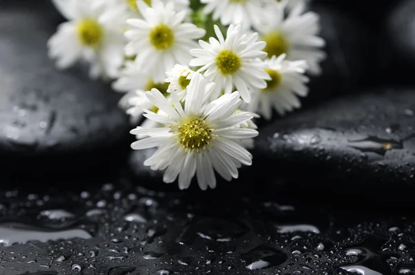 Spa still life — Stock Photo, Image