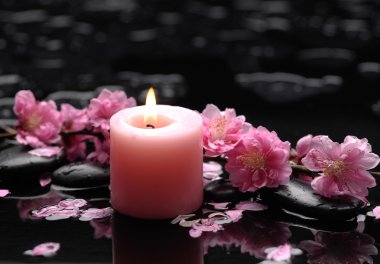 Spa kiraz ile natürmort