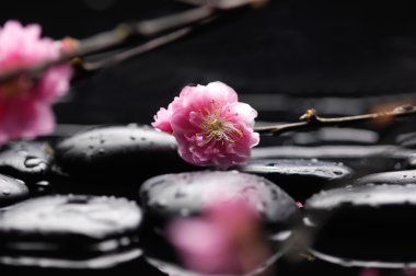 Spa kiraz ile natürmort