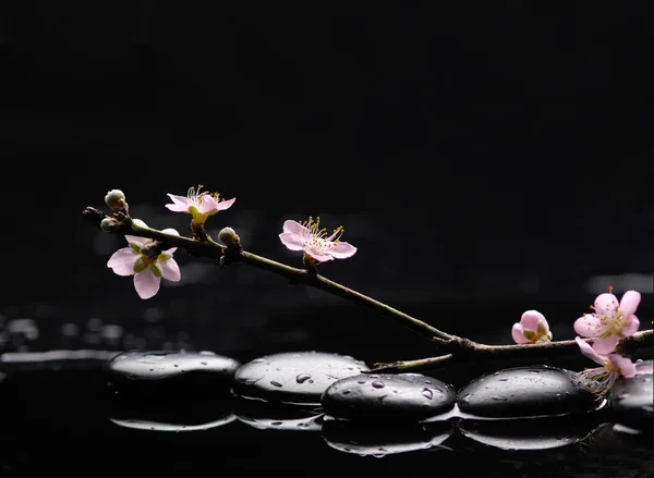 Spa still life with cherry — Stock Photo, Image