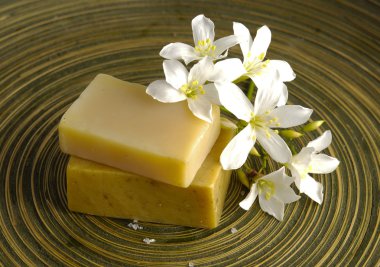 oturma sağlık spa
