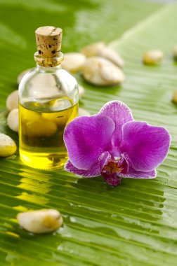 Spa set