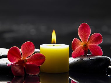 spa konsept