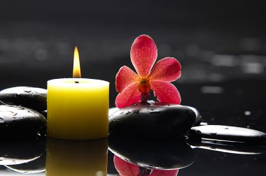 Spa natürmort