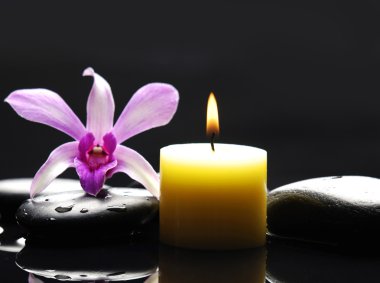 spa konsept