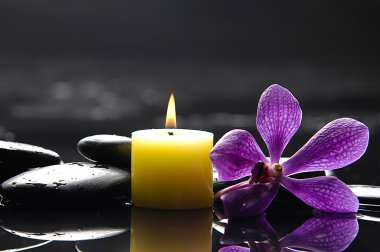 spa konsept