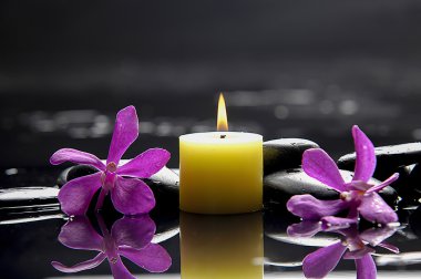 spa konsept
