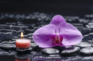 spa konsept