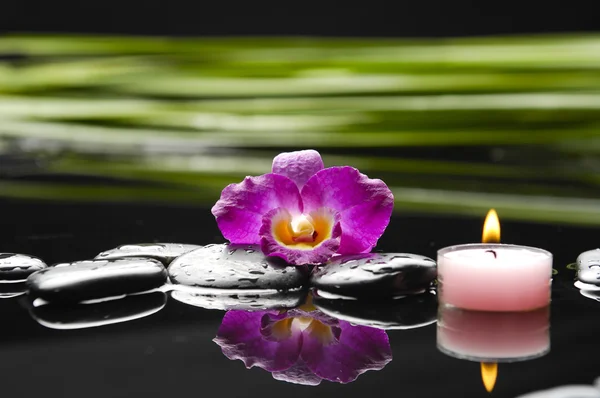 Orquídea y piedras negras mojadas — Foto de Stock