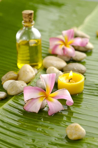 Spa de salud — Foto de Stock