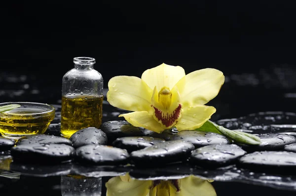 Orchidea terápia kövekkel — Stock Fotó