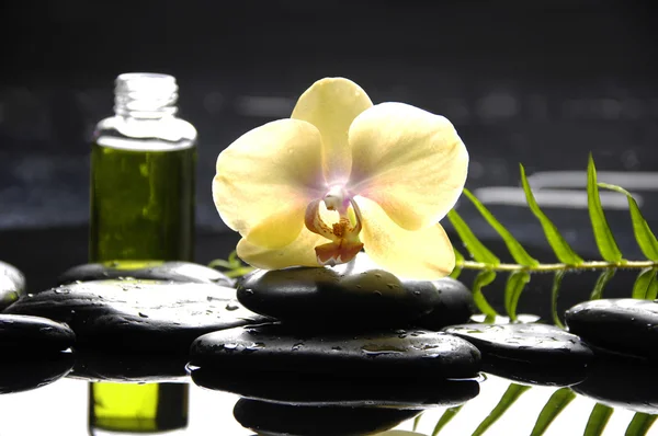 Sitting health spa — Stock Photo, Image