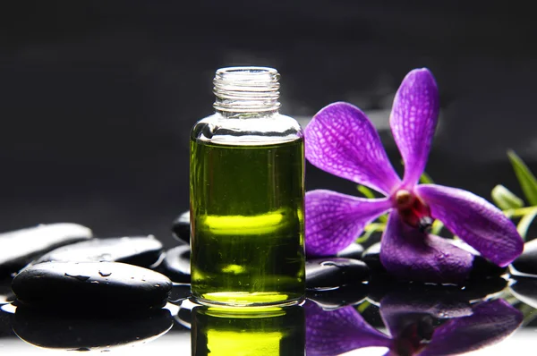 Natura morta con orchidea — Foto Stock