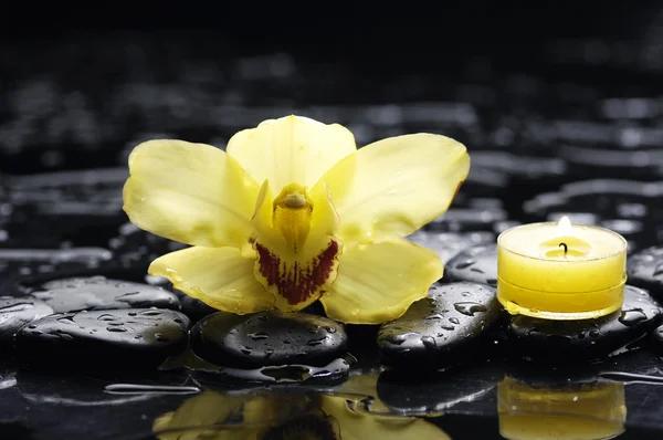 Nature morte avec orchidée — Photo