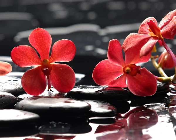 Spa still life — Stock Photo, Image