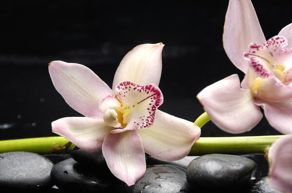 Изображение курорта
.