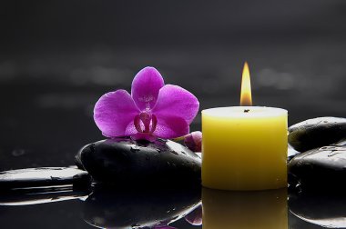spa konsept