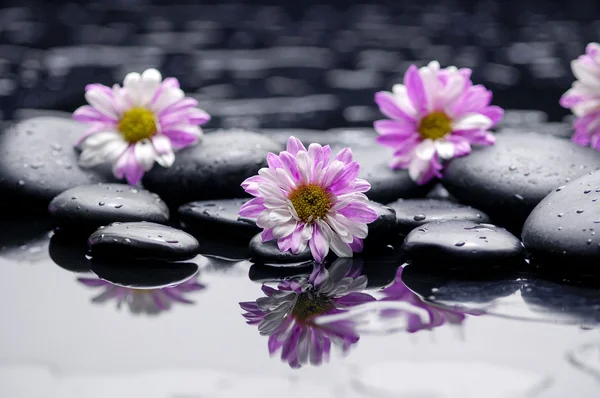 Spa set