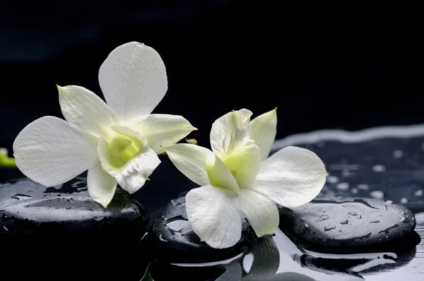 Spa flower — Stock Photo, Image