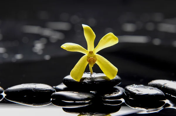 Spa still life — Stock Photo, Image