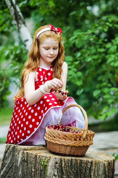 Girl in with a basket of cherries — Stock Photo, Image