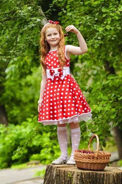 Girl in with a basket of cherries — Stock Photo, Image