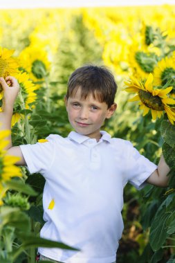 Çocuk ayçiçekleri alanı