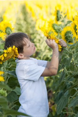 Çocuk ayçiçekleri alanı