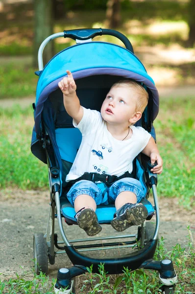 Niño en un cochecito en un paseo por el parque — Foto de Stock