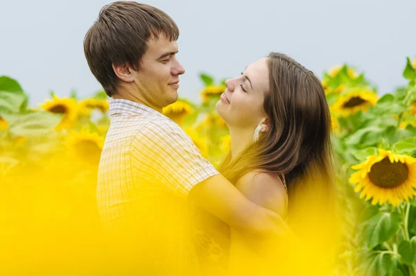 Young girl and a young man in the field of sunflowers — Stock Photo, Image