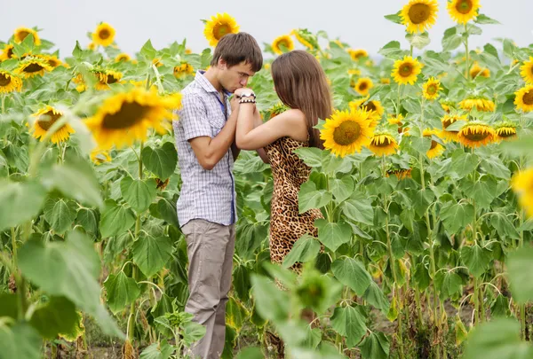 Young girl and a young man in the field of sunflowers — Stock Photo, Image