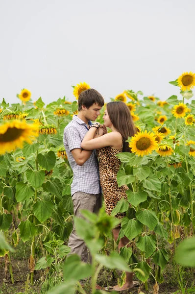 Jong meisje en een jonge man op het terrein van zonnebloemen — Stockfoto