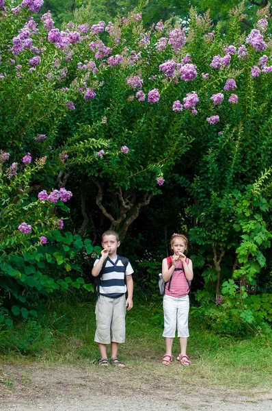 Menina e menino jogando um cachimbo na natureza — Fotografia de Stock