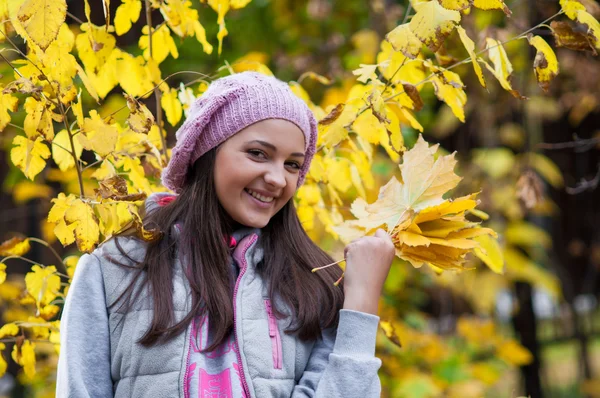 Giovane ragazza in un parco in autunno con foglie gialle — Foto Stock