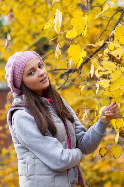 Giovane ragazza in un parco in autunno con foglie gialle — Foto Stock