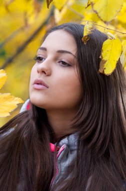 sonbaharın sarı yaprakları ile bir parkta genç kız