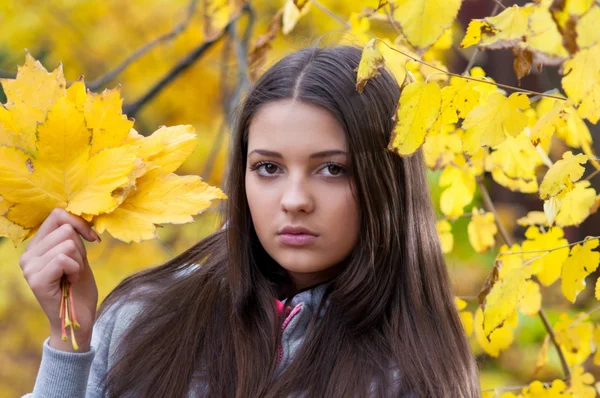 Giovane ragazza in un parco in autunno con foglie gialle — Foto Stock